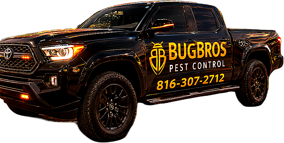BugBros Pest Control Truck
