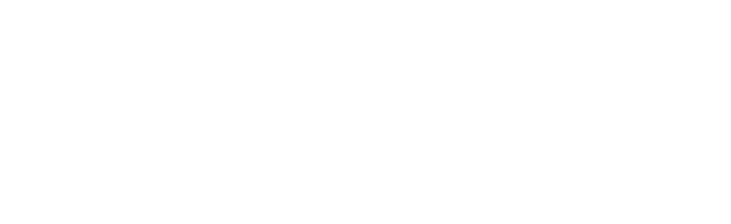 BugBros Pest Control